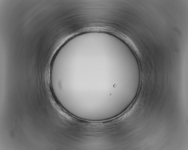 X0000111790844200907230947