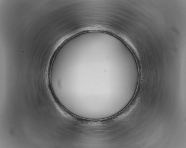 X0000111790845200907230947