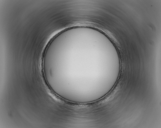 X0000111790846200907230947