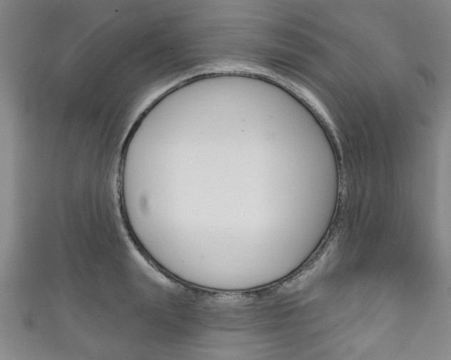 X0000111790847200907230947