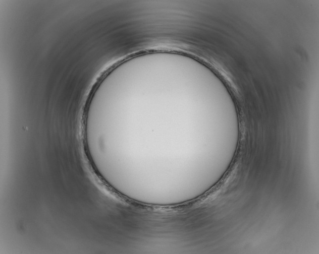 X0000111790848200907230947