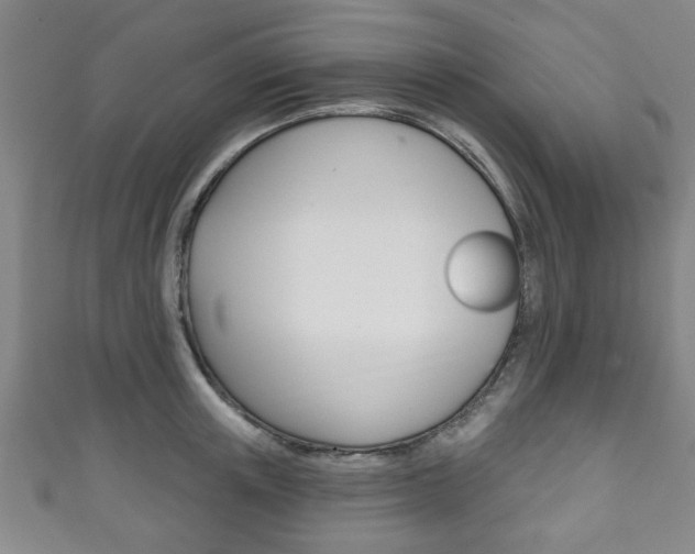 X0000111790851200907230947