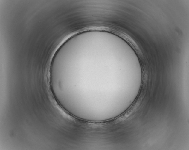 X0000111790852200907230947