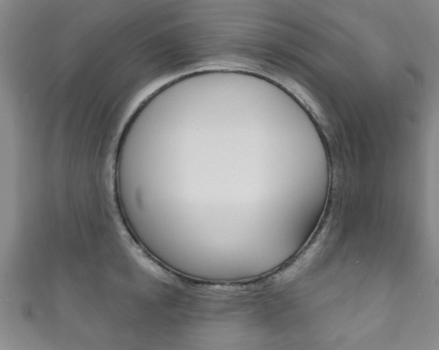 X0000111790854200907230947