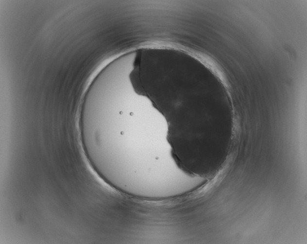 X0000111790855200907230947