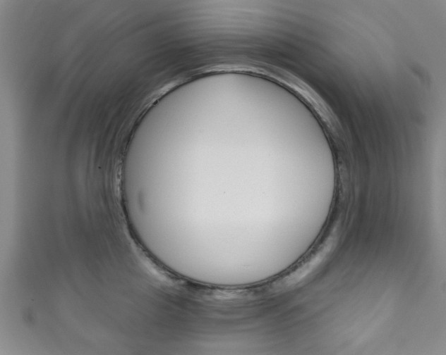 X0000111790857200907230947