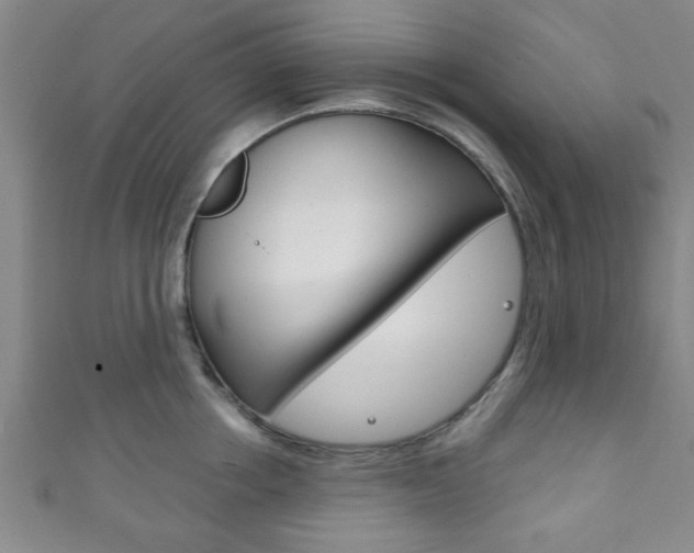 X0000111790858200907230947