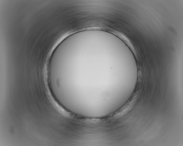 X0000111790859200907230947