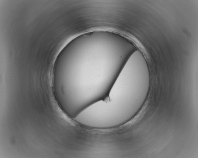 X0000111790860200907230947
