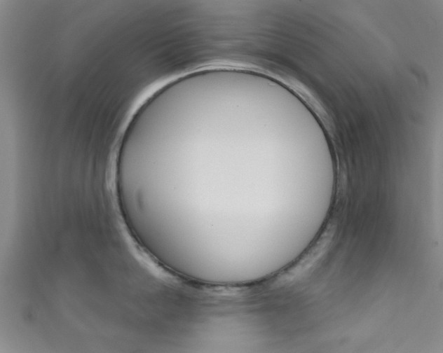 X0000111790862200907230947