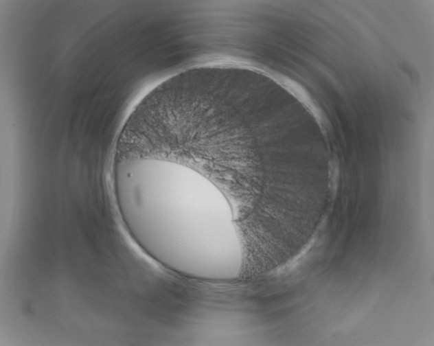 X0000111790863200907230947