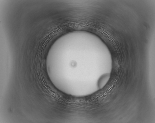 X0000111790865200907230947
