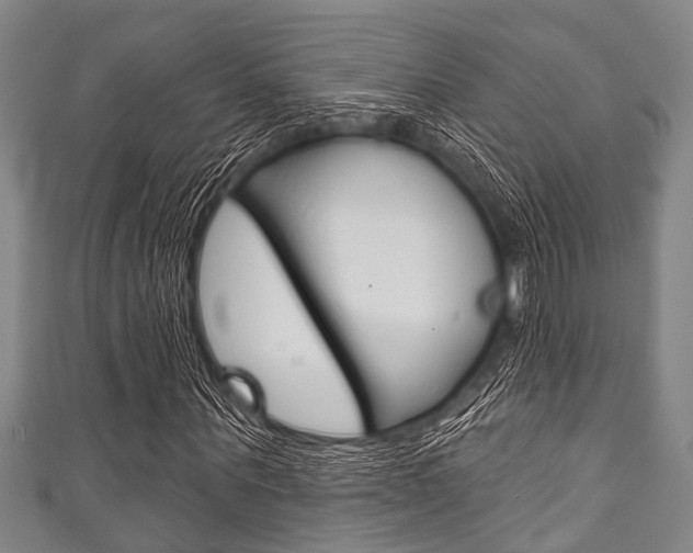 X0000111790867200907230947