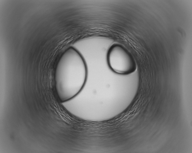 X0000111790868200907230947