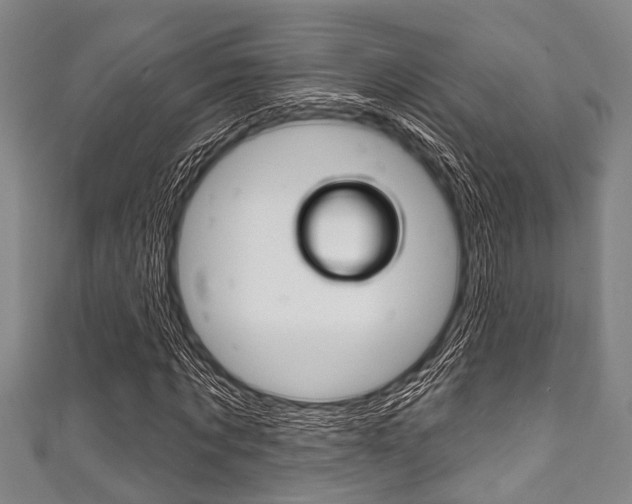 X0000111790869200907230947