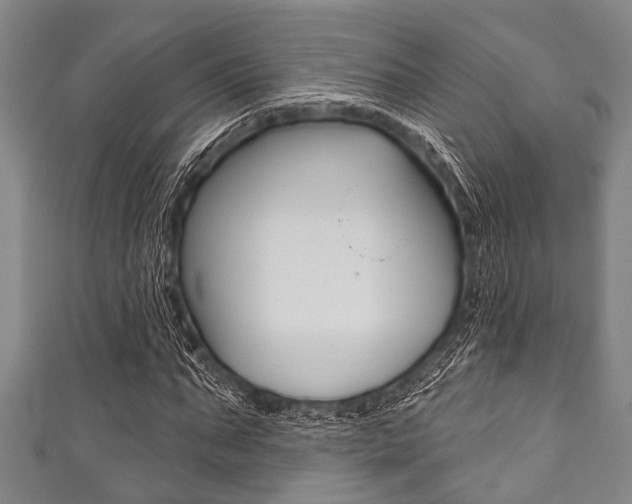 X0000111790871200907230947