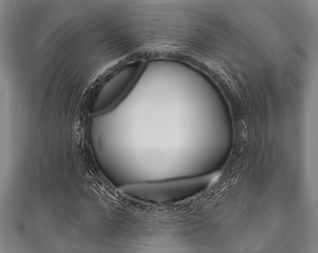 X0000111790872200907230947