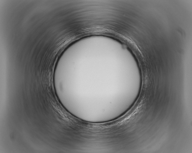 X0000111790873200907230947
