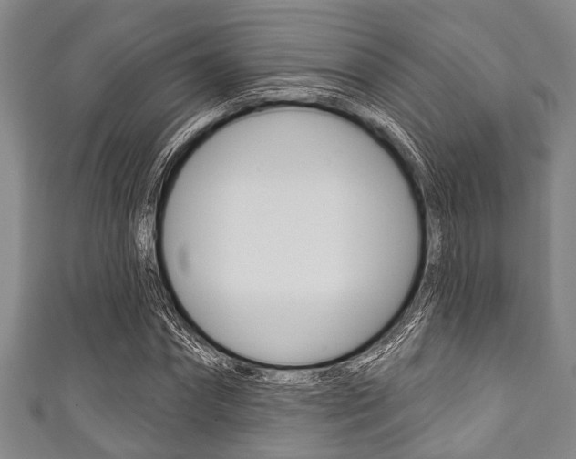 X0000111790874200907230947