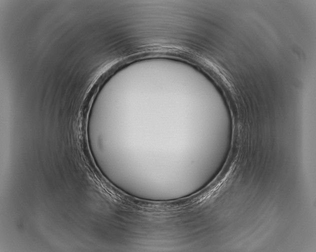 X0000111790875200907230947