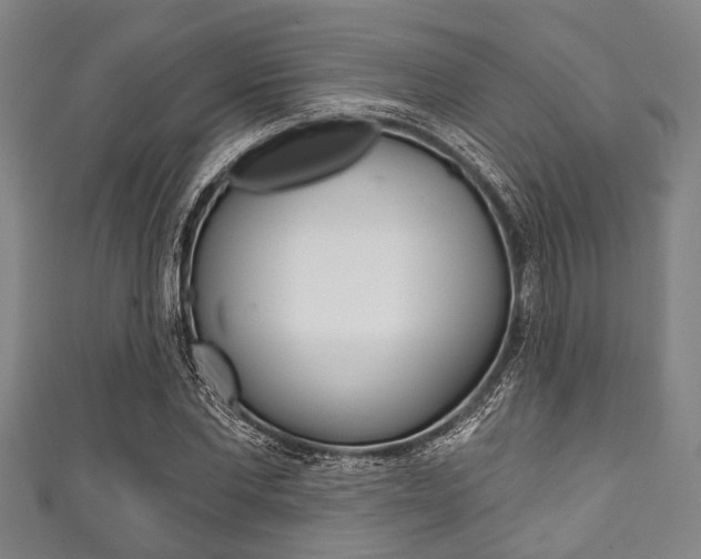 X0000111790877200907230947