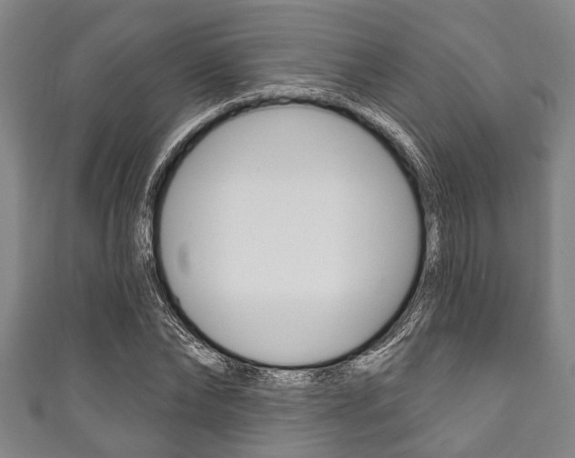 X0000111790878200907230946