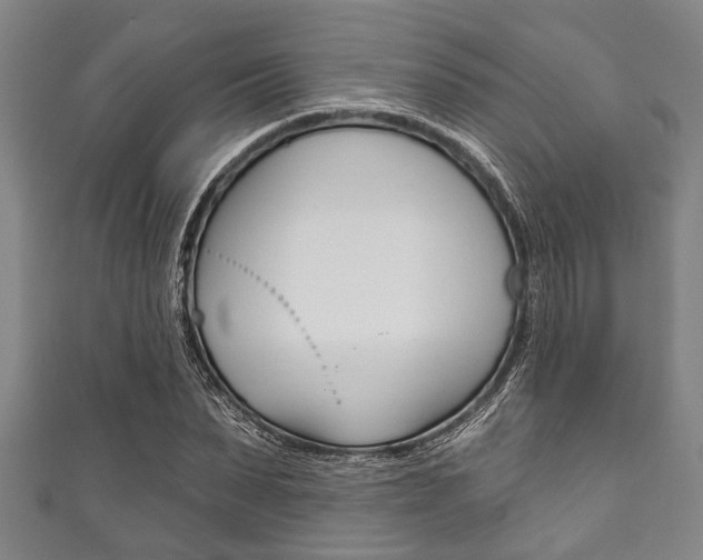 X0000111790879200907230946