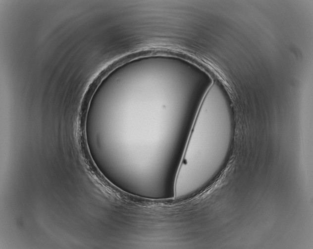 X0000111790880200907230946