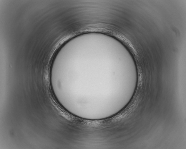 X0000111790882200907230946