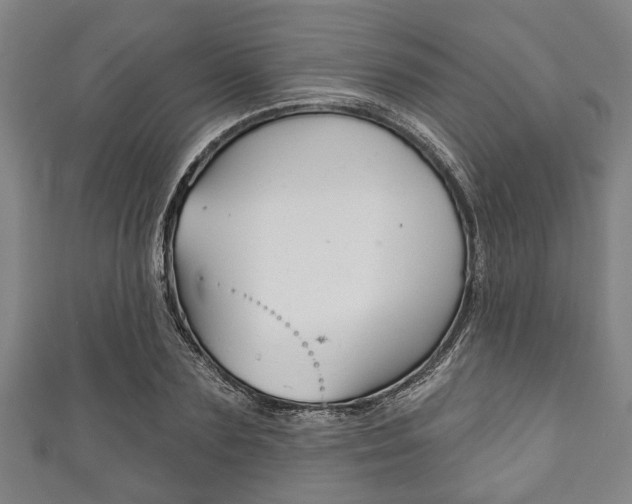 X0000111790883200907230946
