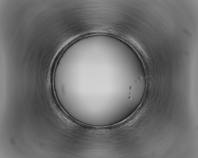 X0000111790884200907230946