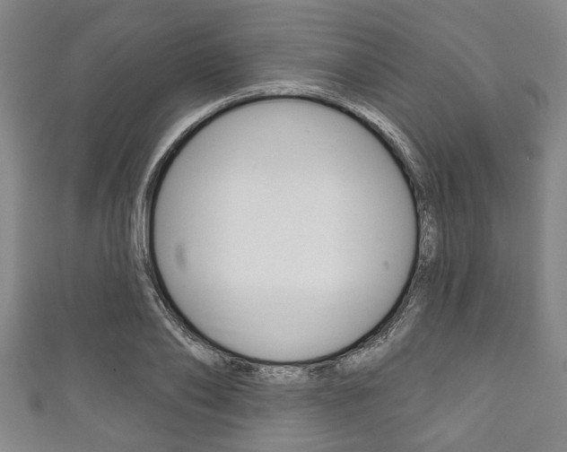 X0000111790886200907230946