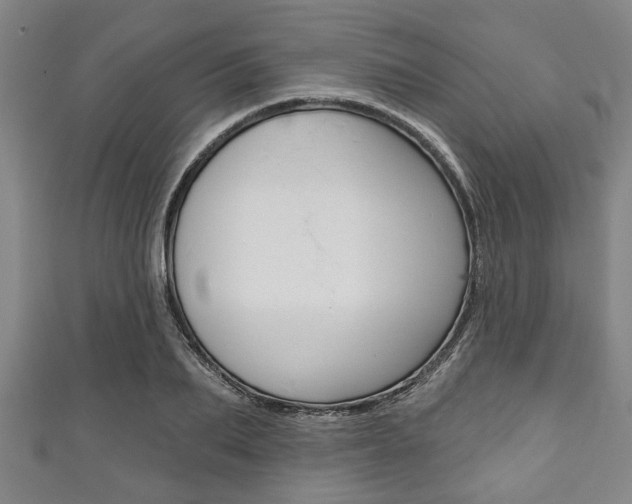 X0000111790887200907230946