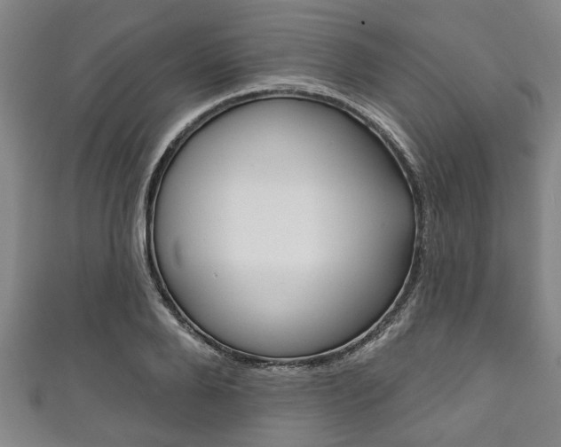 X0000111790888200907230946
