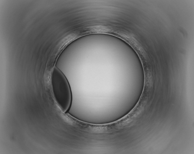 X0000111790889200907230946