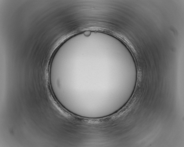X0000111790890200907230946