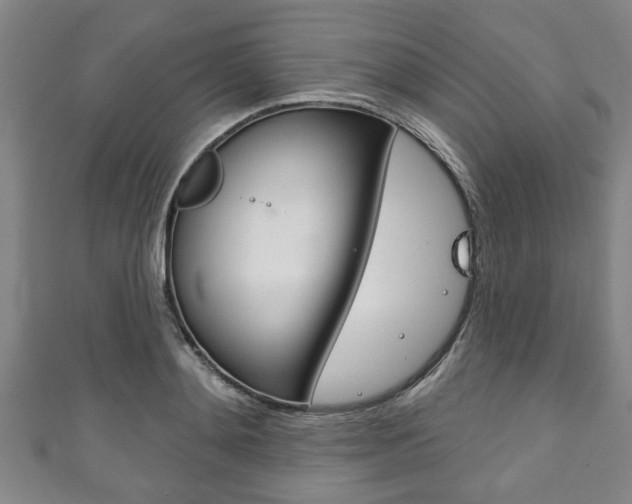 X0000111790892200907230946