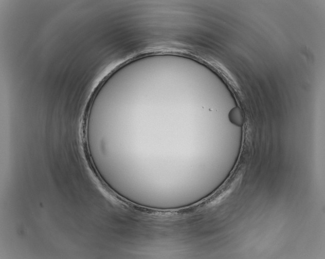 X0000111790893200907230946