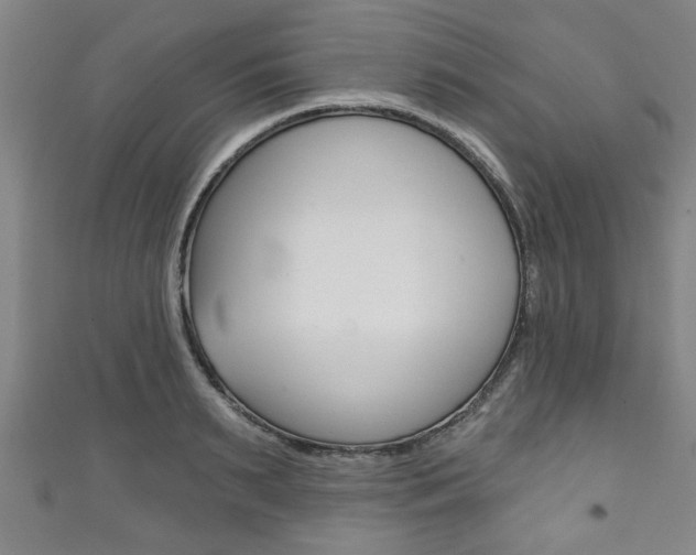 X0000111790895200907230946