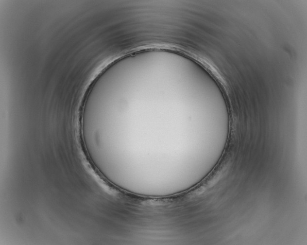 X0000111790898200907230946