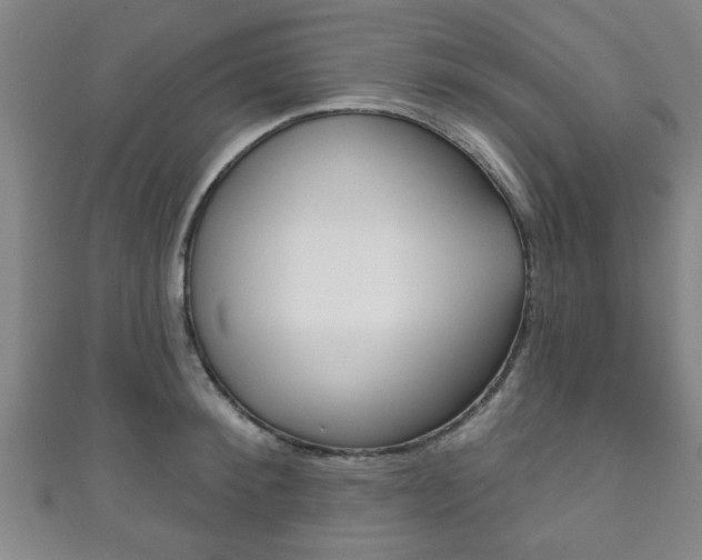 X0000111790900200907230946