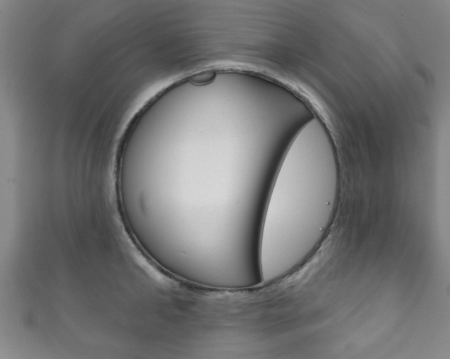 X0000111790902200907230946