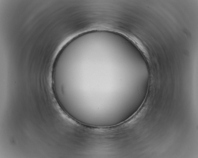 X0000111790904200907230946