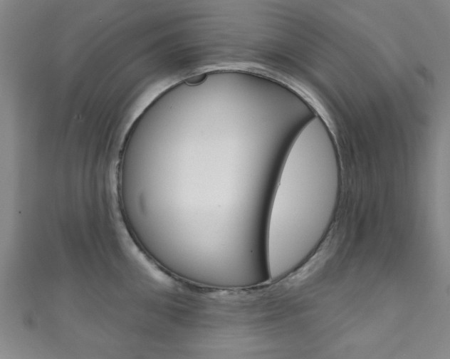 X0000111790906200907230946