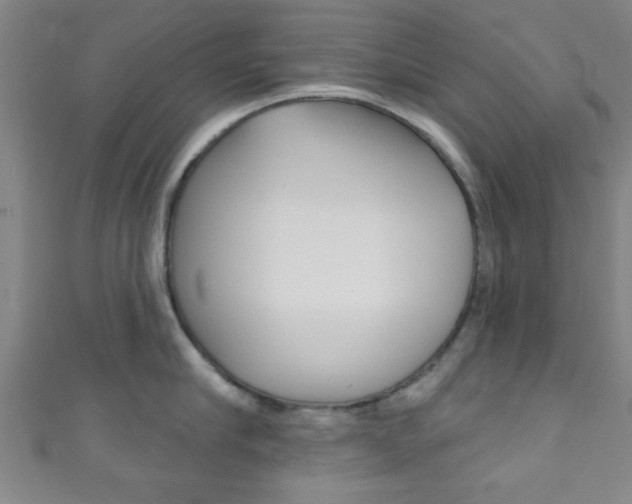 X0000111790910200907230946