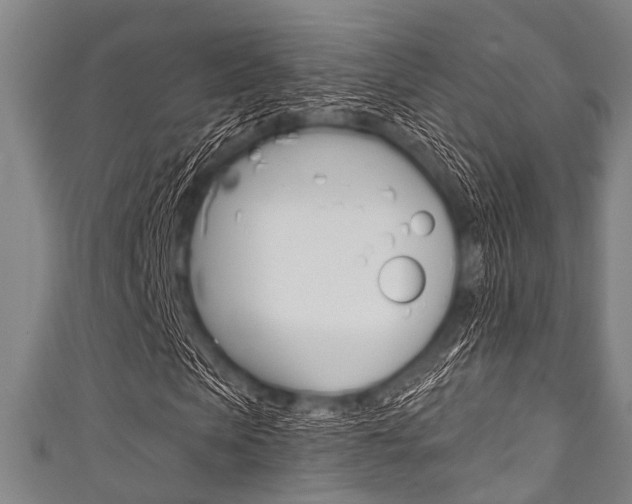 X0000111790913200907230945