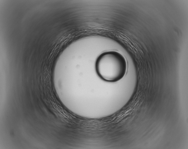 X0000111790916200907230945