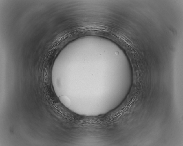 X0000111790917200907230945