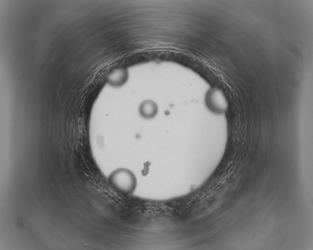 X0000111790918200907230946