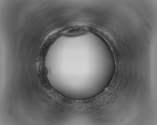 X0000111790920200907230946